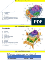 Animal Cells: Grade - VIII