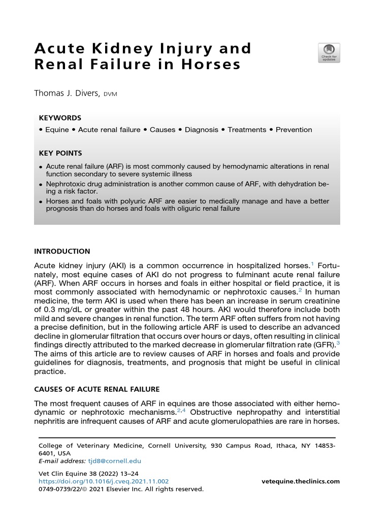 Acute Kidney Injury and Renal Failure in Horses PDF Blood Pressure