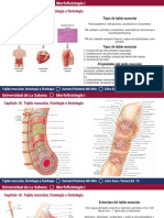 Clase Tejido Muscular