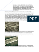 Patologia Neuromuscular