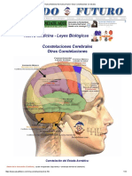 Nueva Medicina Germanica - DR Hamer - Otras Constelaciones Cerebrales - NMG 7.pdf-Free