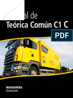 Teoria Carnet Camion