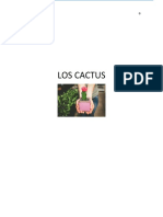 Los Cactus