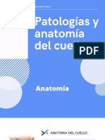 Patologías Del Cuello Anatomía Clínica
