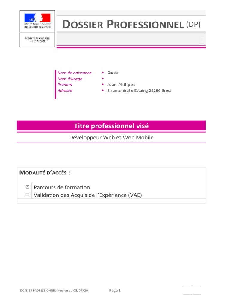 Dossier Professionnel Développeur Web | PDF | Internet | Internet et Web
