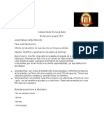 Informe de Laboratorio de La Reproducion en Plantas y Hongos