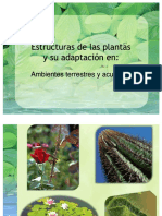 PDF Adaptacion de Las Plantas Al Ambiente Compress