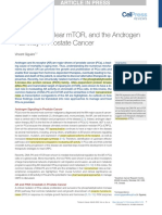 0 DNA-PK, Nuclear mTOR, and The Androgen Pathway in Prostate Cancer