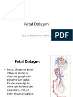 3 Fetal Dolaşım 2021-2022