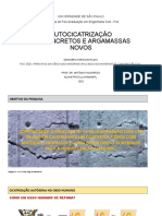 AutoCicatrização em Concretos e Argamassas: Novos Processos e Materiais