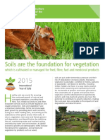 Soils Are The Foundation For Vegetation: Which Is Cultivated or Managed For Feed, Fibre, Fuel and Medicinal Products