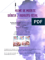 SX Muerte Súbita - Hidrops Fetal