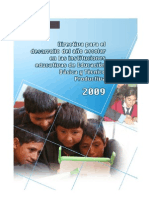 RM #0441-2008-Ed Directiva para El Desarrollo Del Año Escolar 2009