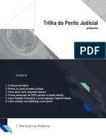 Guia Perícia Judicial