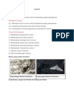 Download materi bio evolusi by Occhi A Casper SN58597228 doc pdf
