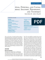 Spinal Epidural