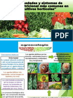 Enfermedades y Carencia de Nut en Horticolas-Agroecologia