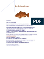 How To Catch Grouper Ebook