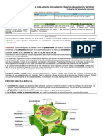 CIENCIA Y TECNOLOGIA SEGUNDO 22 de Junio CELULA Animal y Vegetal