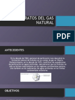 Hidratos Del Gas Natural