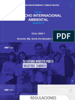 Diapositiva Semana 10 D. Internacional Ambiental