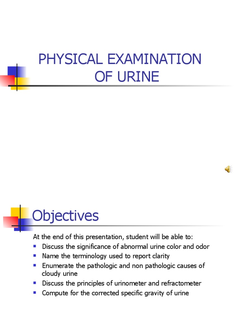 (2) Physical Examination of Urine PDF Urine Red Blood Cell