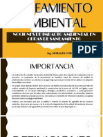 02 Saneamiento Ambiental - Impor, Def y Tipos