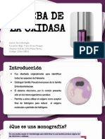 Prueba de La Oxidasa