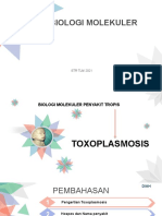 Toxoplasmosis 21