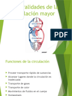 5.- Circulacion Mayor (Aorta)
