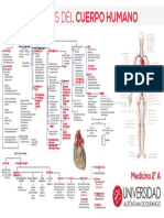 Arterias Imprimir