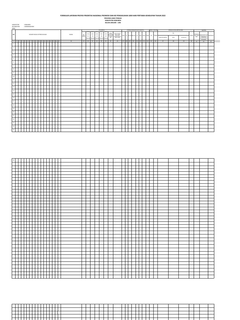 form-pro-pn-kie-2022-pdf