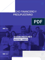 Diapositiva Semana 9 D. Presupeustario Financiero