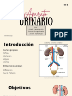 Histologia Del Aparato Urinario