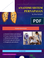 Anatomi Sistem Pernafasan