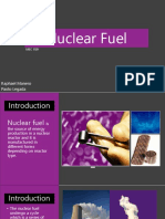 Nuclear Fuel: Raphael Manero Paolo Legada