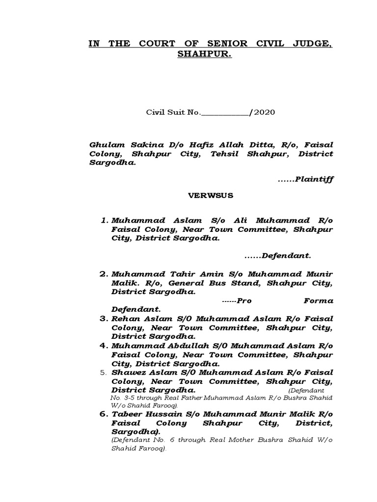 Amended Plaint (Suit For Partition) . PDF Lawsuit Justice