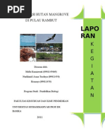 Download laporan konservasi Pulau Rambut by sciencestory SN58603242 doc pdf