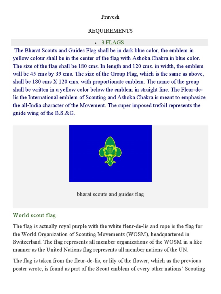 Scout and Guide Flag Specifications | PDF | Scouting | Outdoor Recreation