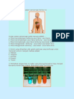 Soal Soal Latihan Tentang Sistem Pencernaan