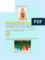 Sistem Pencernaan Manusia