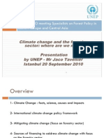 UNECE/FAO meeting on climate change and forestry sector