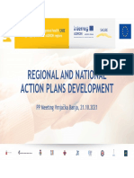 Regional Action Plans Development Meeting Summary