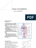 s Circulatorio PDF