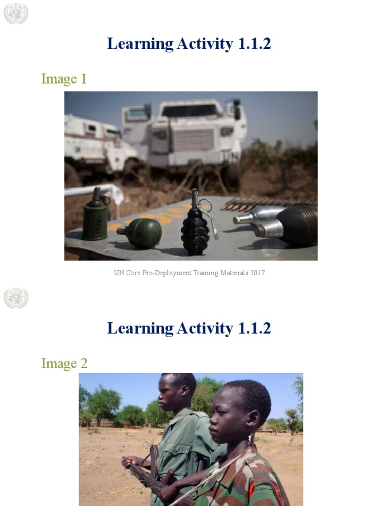 Learning Activity 1.1.2: Image 1 | PDF