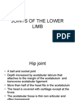 Joints of The Lower Limb