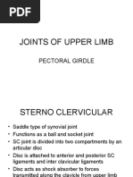 Anatomy of the Triangular Interval | PDF | Limbs (Anatomy) | Human Anatomy