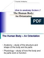 Introduction To Anatomy Lecture 1: The Human Body: An Orientation