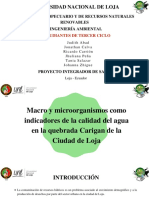 Diapositivas PIS - Grupo 1