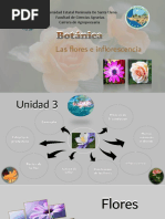 Clasificación de Flores por Sexo y Estructura | PDF | Flores | Sexo